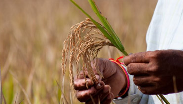 protecting crops