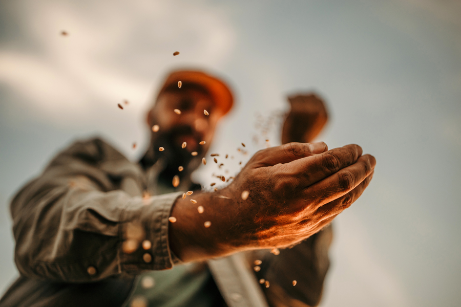 Help People Stay Safe And Healthy Syngenta